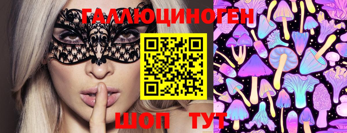 Псилоцибиновые грибы Psilocybe Москва