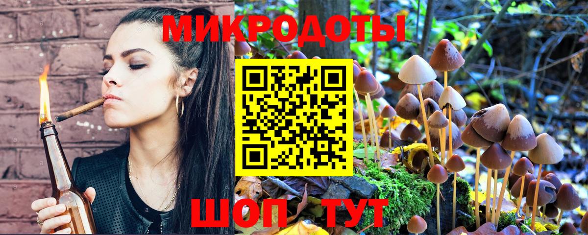 Москва  Псилоцибиновые грибы прущие грибы  Вход с VPN 